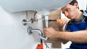 rooter vs plumber